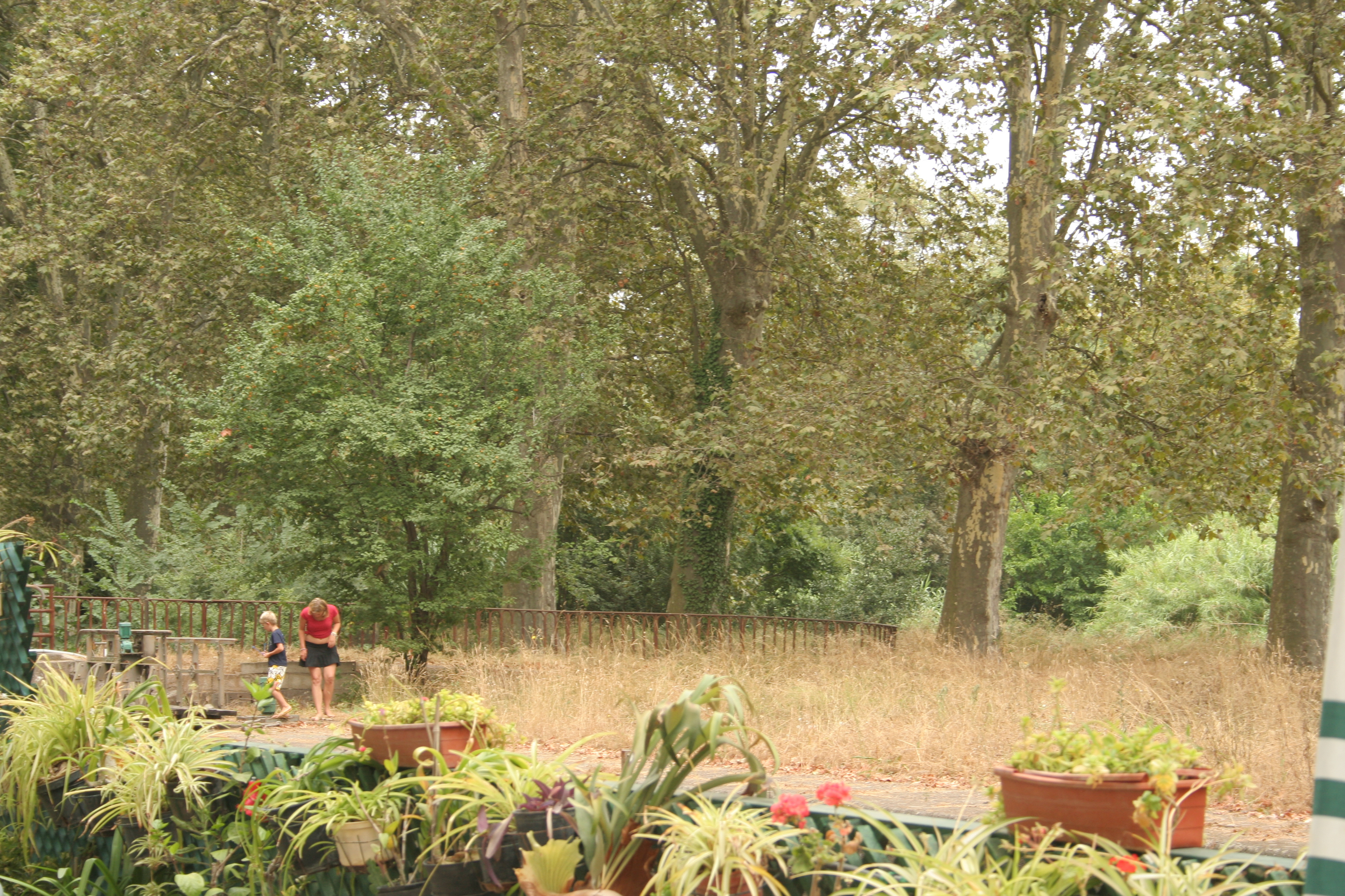 vakantie 2009 a-065.jpg